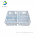 HDPE material tramsport baby chicks crate
